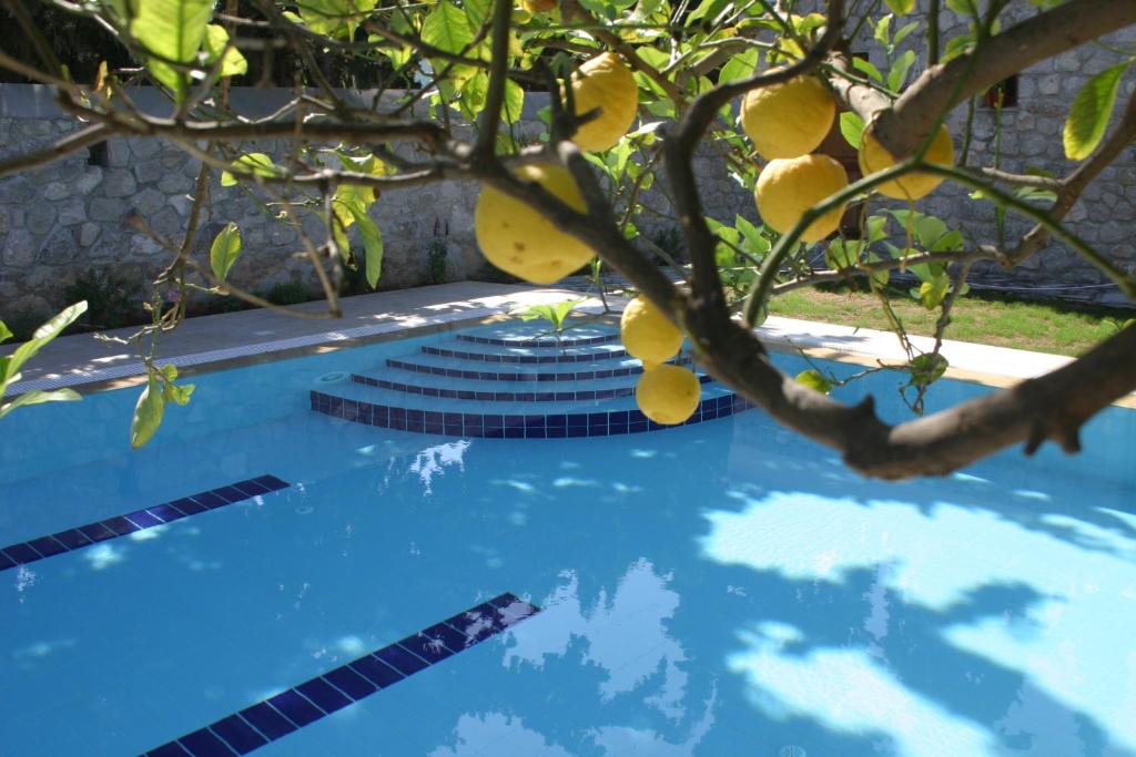 Villa Martha (Spetses) 